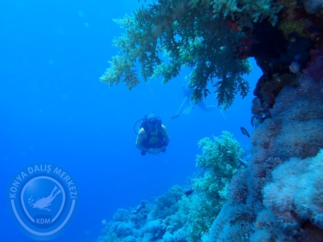 13-18 Mayıs Sharm