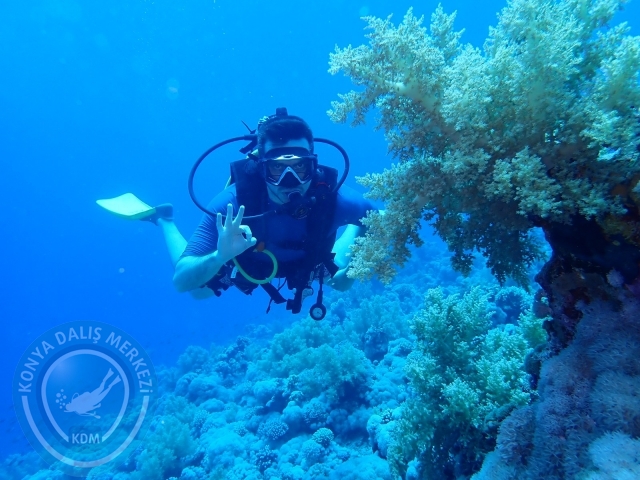 13-18 Mayıs Sharm