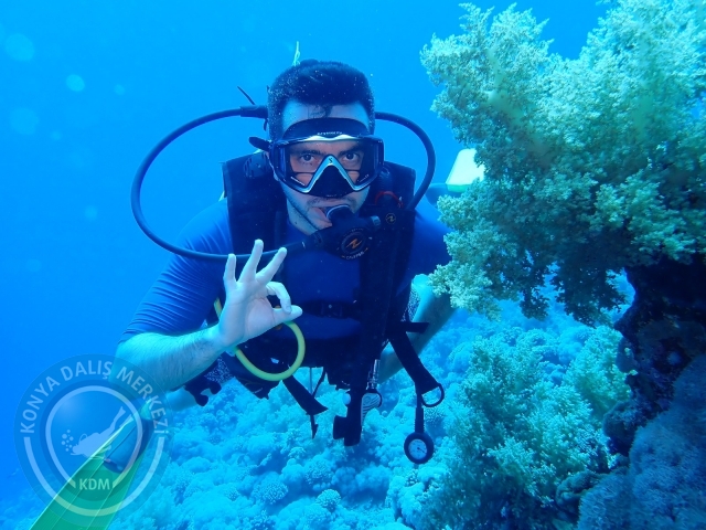 13-18 Mayıs Sharm