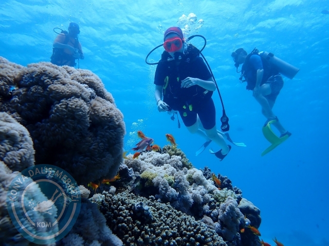13-18 Mayıs Sharm