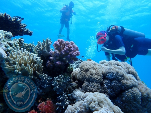 13-18 Mayıs Sharm