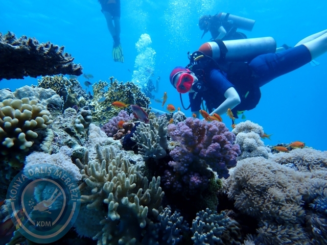 13-18 Mayıs Sharm