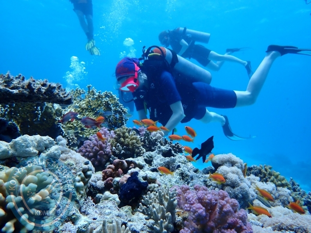 13-18 Mayıs Sharm