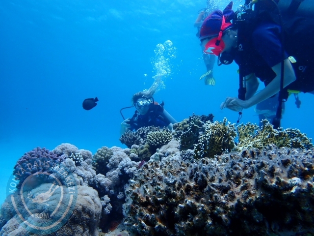13-18 Mayıs Sharm