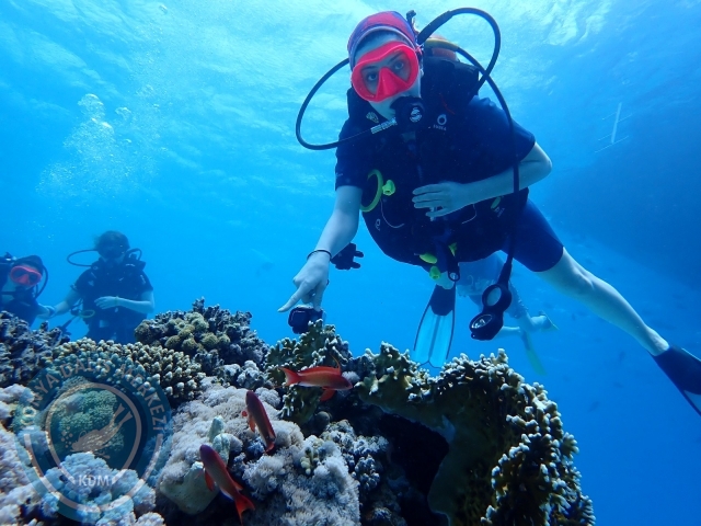 13-18 Mayıs Sharm