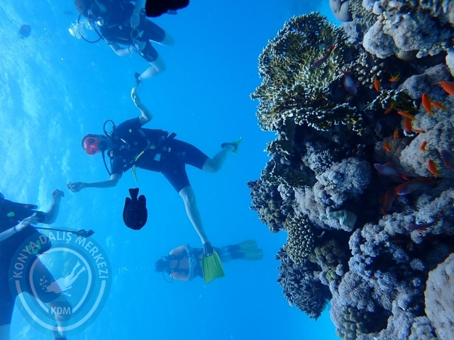 13-18 Mayıs Sharm