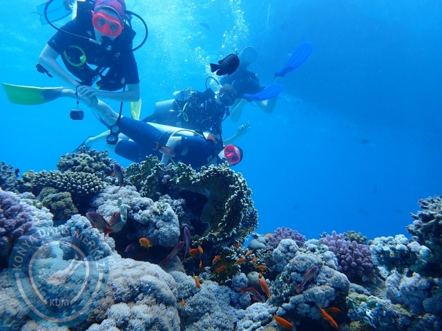 13-18 Mayıs Sharm