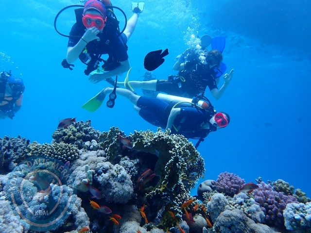 13-18 Mayıs Sharm
