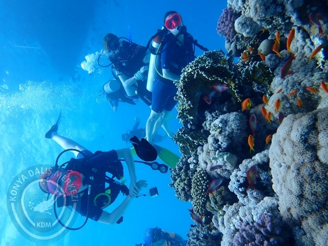 13-18 Mayıs Sharm