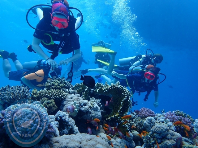 13-18 Mayıs Sharm