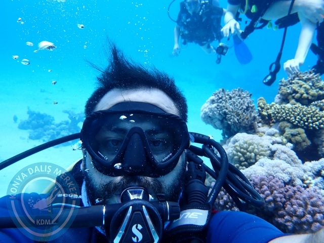 13-18 Mayıs Sharm