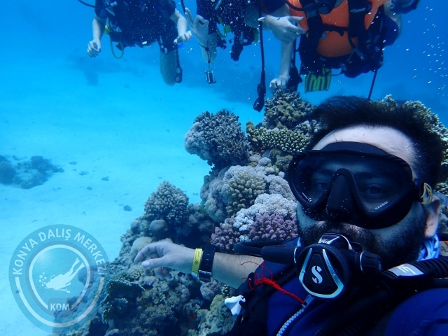 13-18 Mayıs Sharm