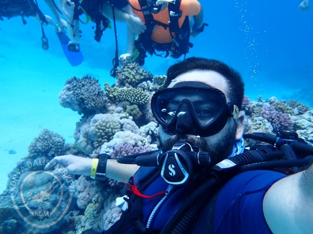 13-18 Mayıs Sharm