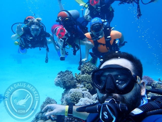 13-18 Mayıs Sharm