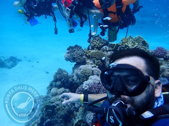 13-18 Mayıs Sharm