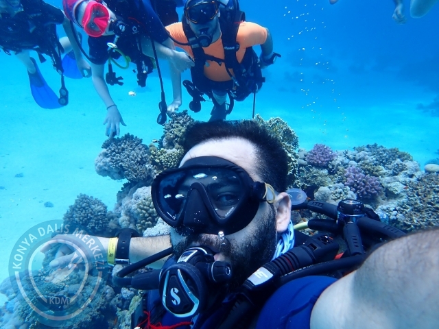 13-18 Mayıs Sharm