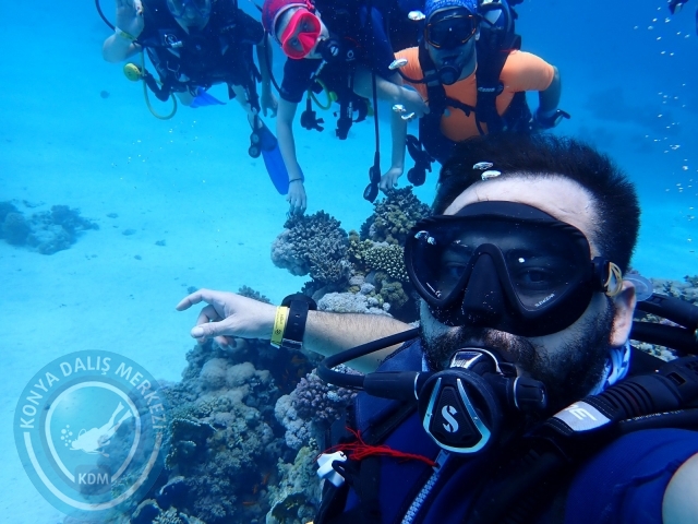 13-18 Mayıs Sharm