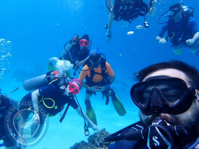 13-18 Mayıs Sharm