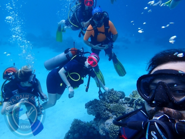 13-18 Mayıs Sharm
