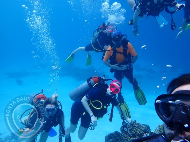 13-18 Mayıs Sharm