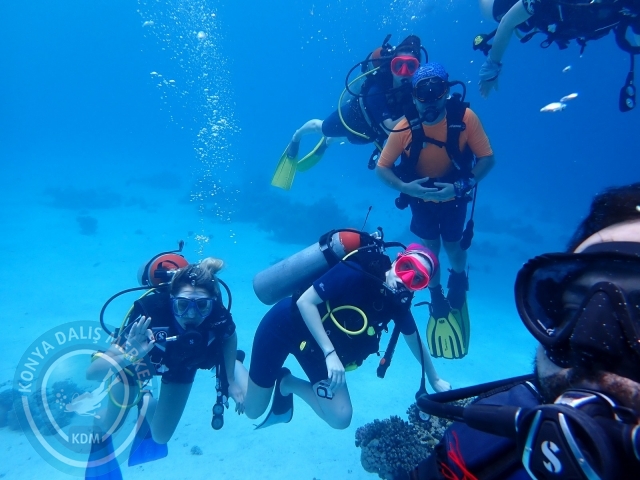 13-18 Mayıs Sharm