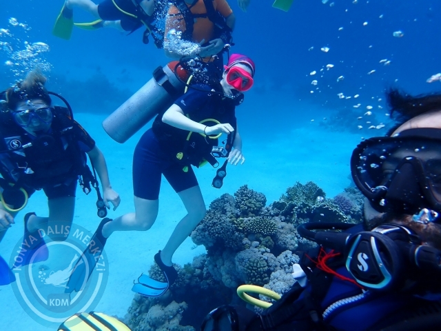 13-18 Mayıs Sharm