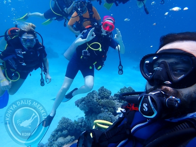 13-18 Mayıs Sharm