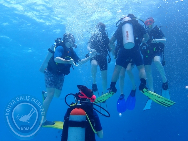 13-18 Mayıs Sharm