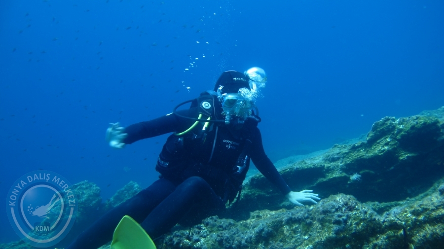 14-15 Ekim 2017 BODRUM