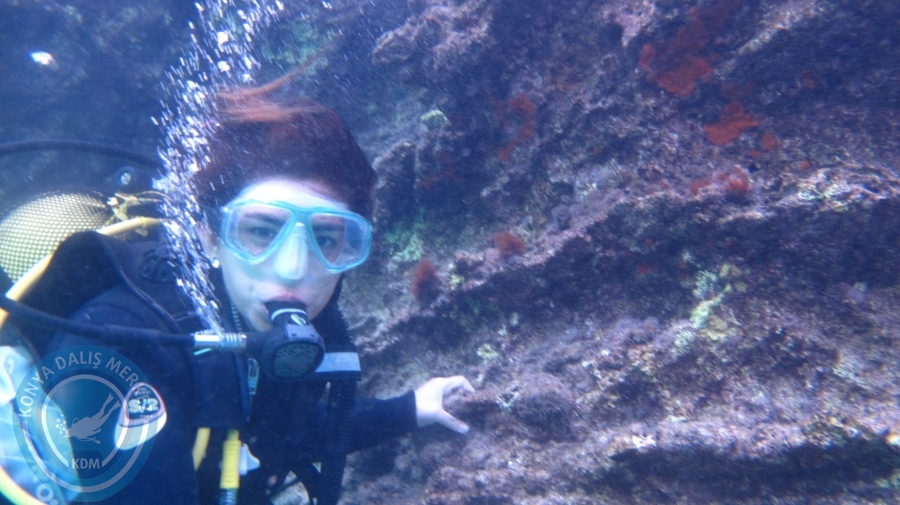 14-15 Ekim 2017 BODRUM