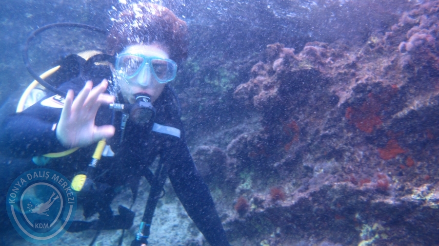 14-15 Ekim 2017 BODRUM
