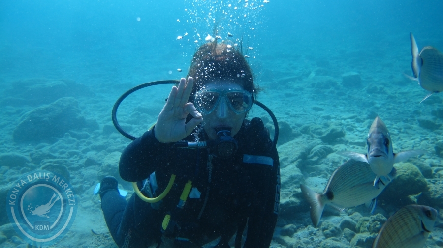 14-15 Ekim 2017 BODRUM