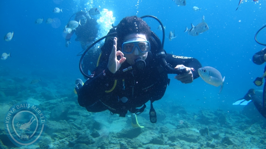 14-15 Ekim 2017 BODRUM