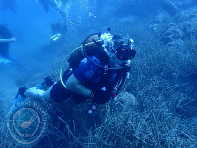 14-15 Ekim Alanya