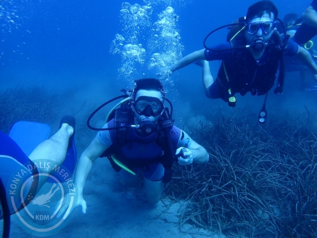 14-15 Ekim Alanya