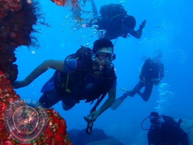 14-15 Ekim Alanya