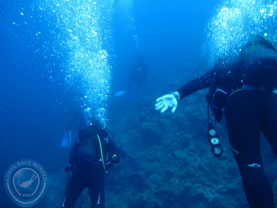 14-15 Haziran Bodrum