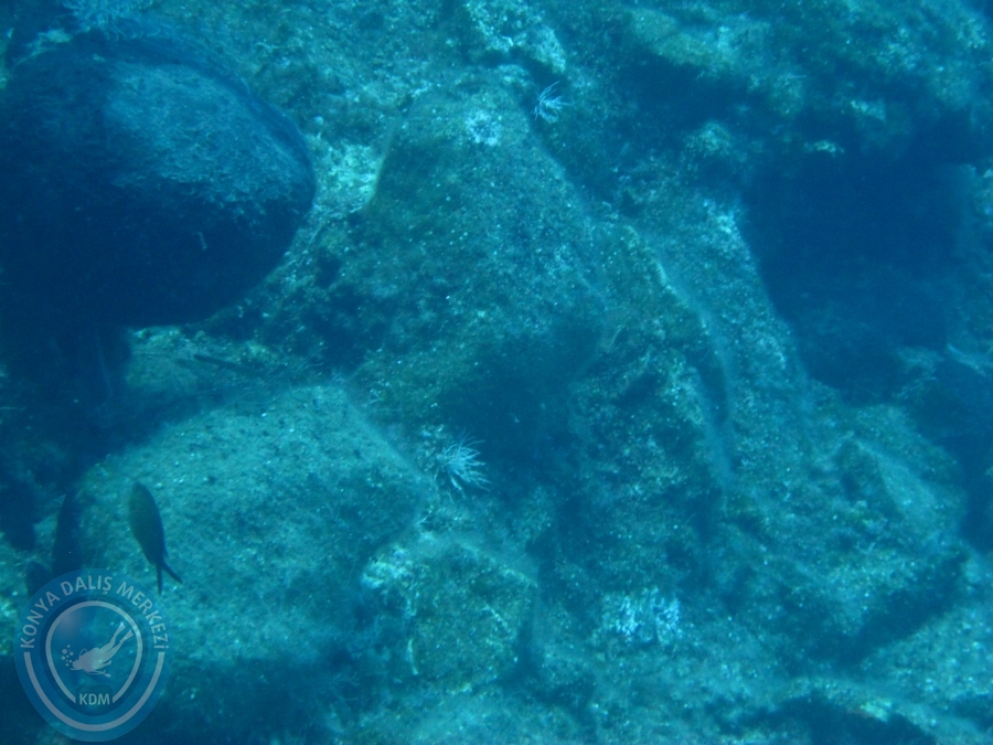 14-15 Haziran Bodrum