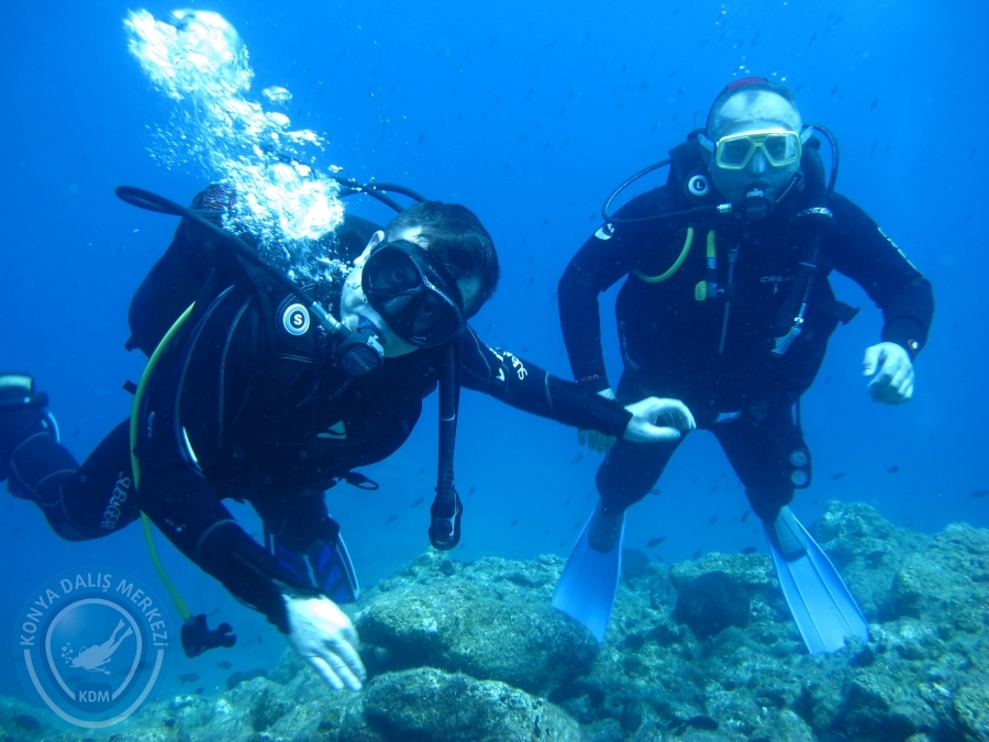 14-15 Haziran Bodrum
