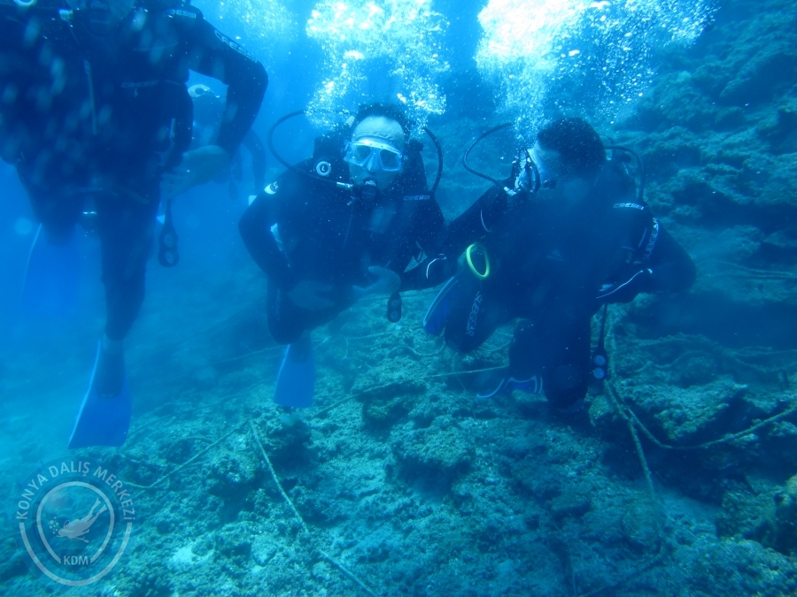 14-15 Haziran Bodrum