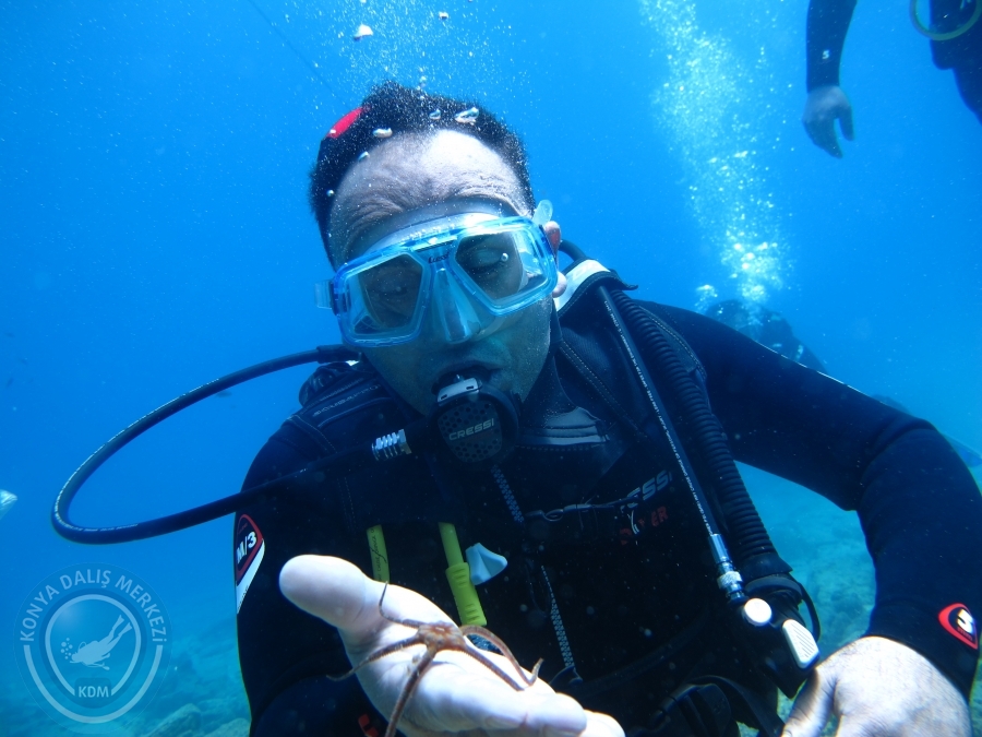 14-15 Haziran Bodrum
