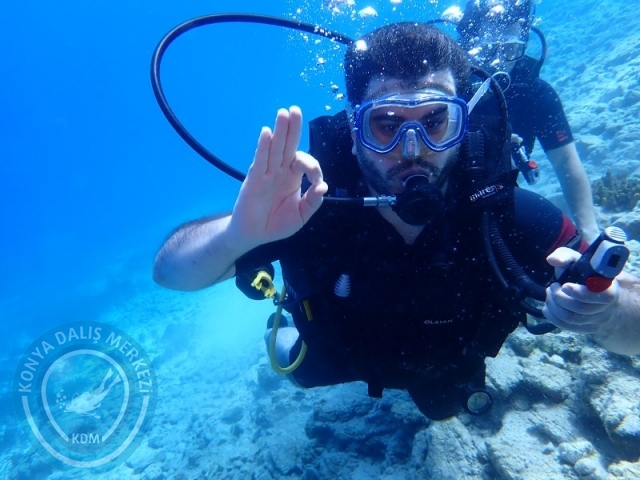 14-15 Haziran Selimiye