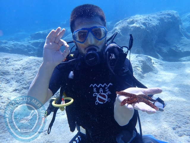 14-15 Temmuz Kaş 