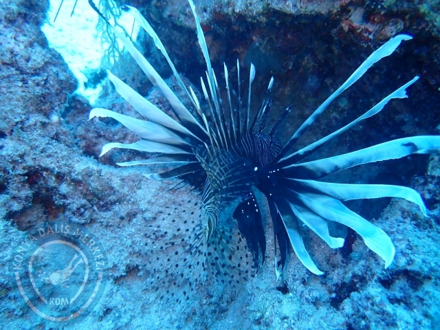 14-15 Temmuz Kaş 