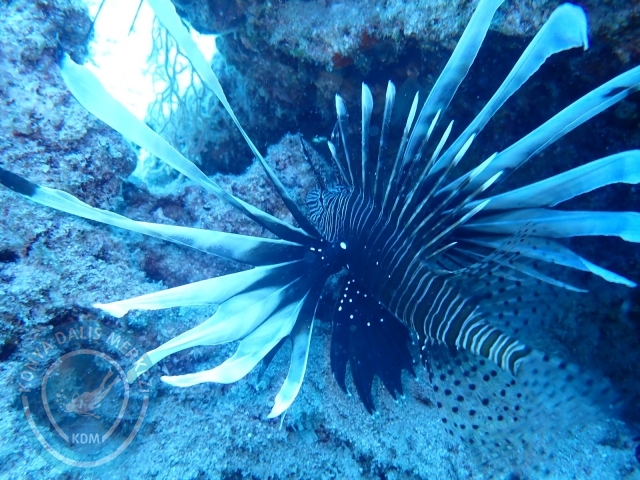 14-15 Temmuz Kaş 