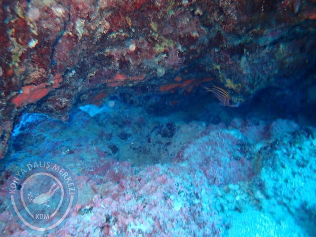 14-15 Temmuz Kaş 