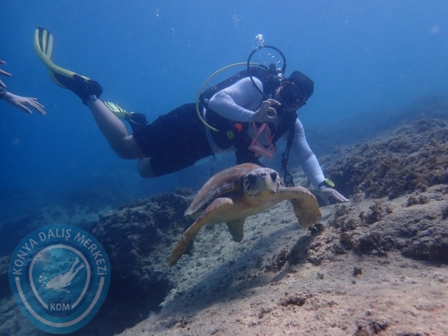 15-16 Ağustos KAŞ