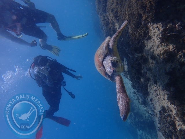 15-16 Ağustos KAŞ