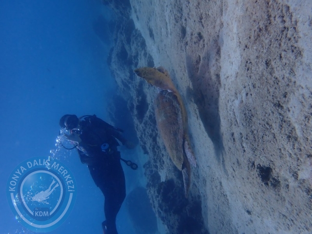 15-16 Ağustos KAŞ