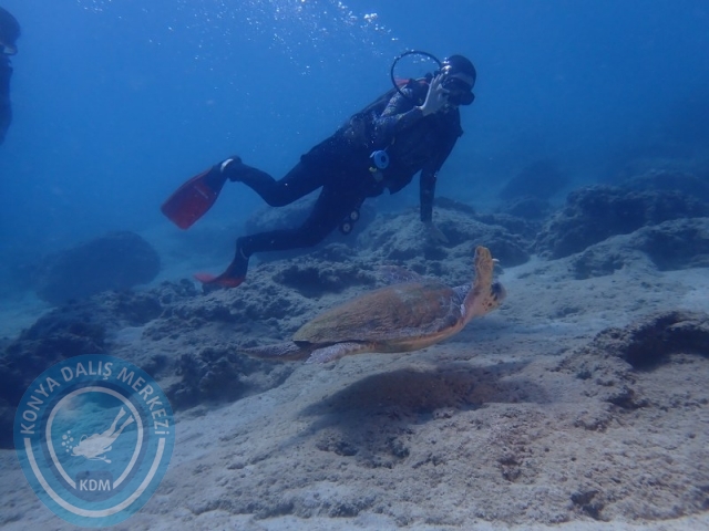 15-16 Ağustos KAŞ